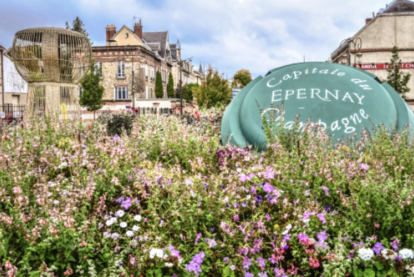 How to Spend A Day in Épernay