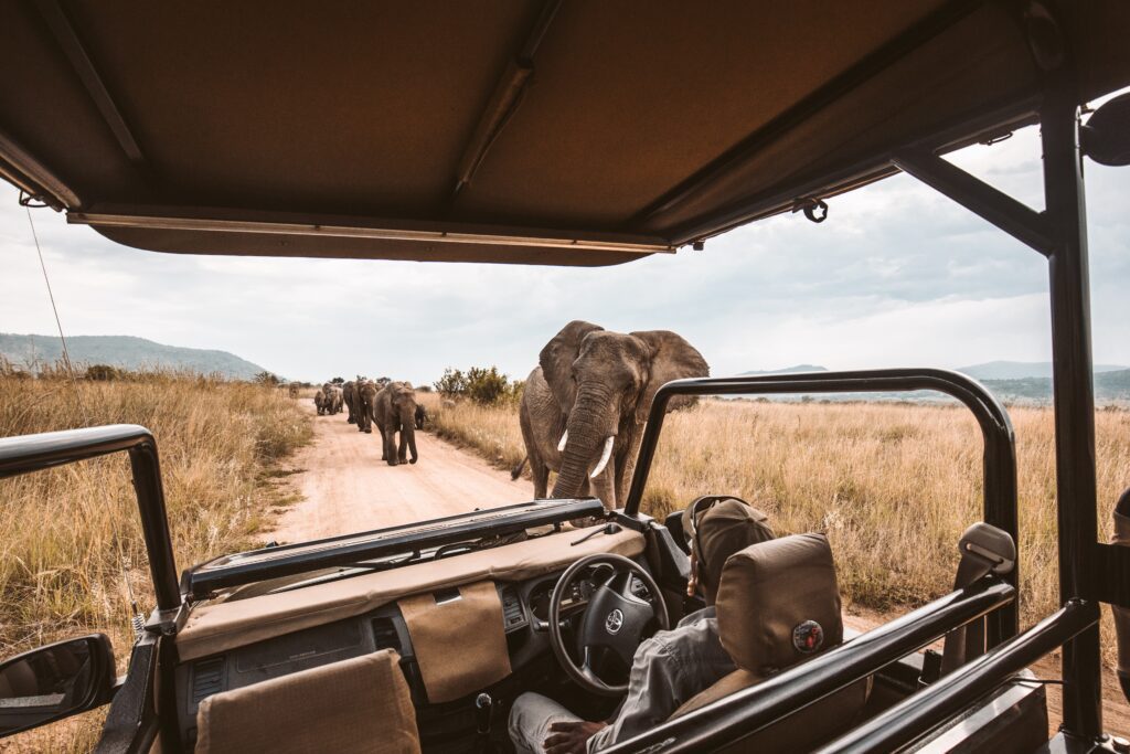 safari in tanzania