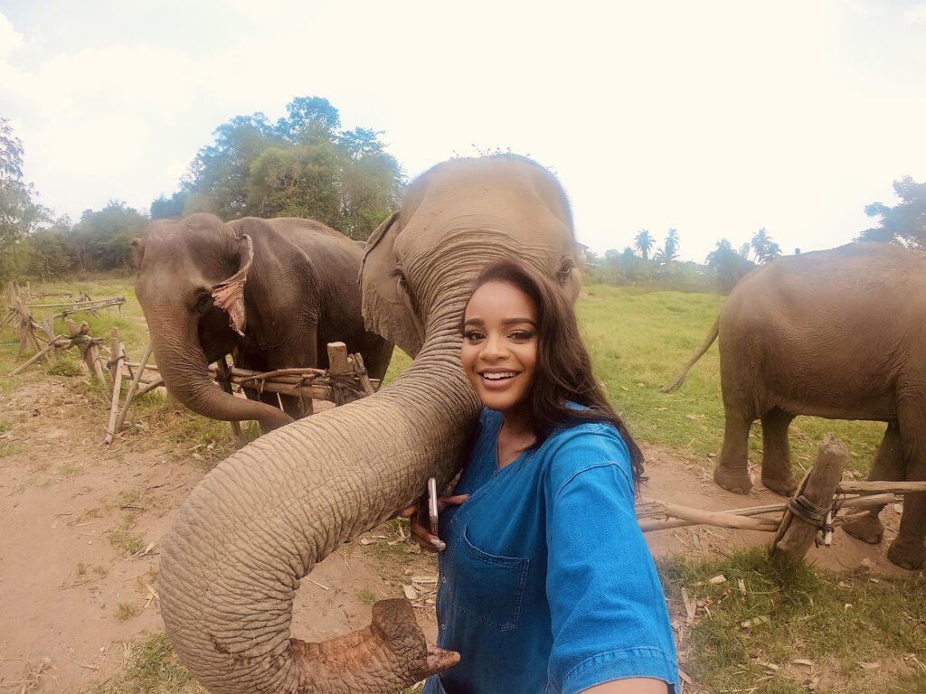 thailand elephant sanctuary, trips to take after a breakup