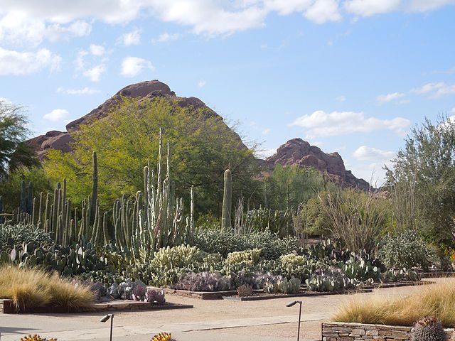 Top 29 Best Things to Do in Tempe, AZ