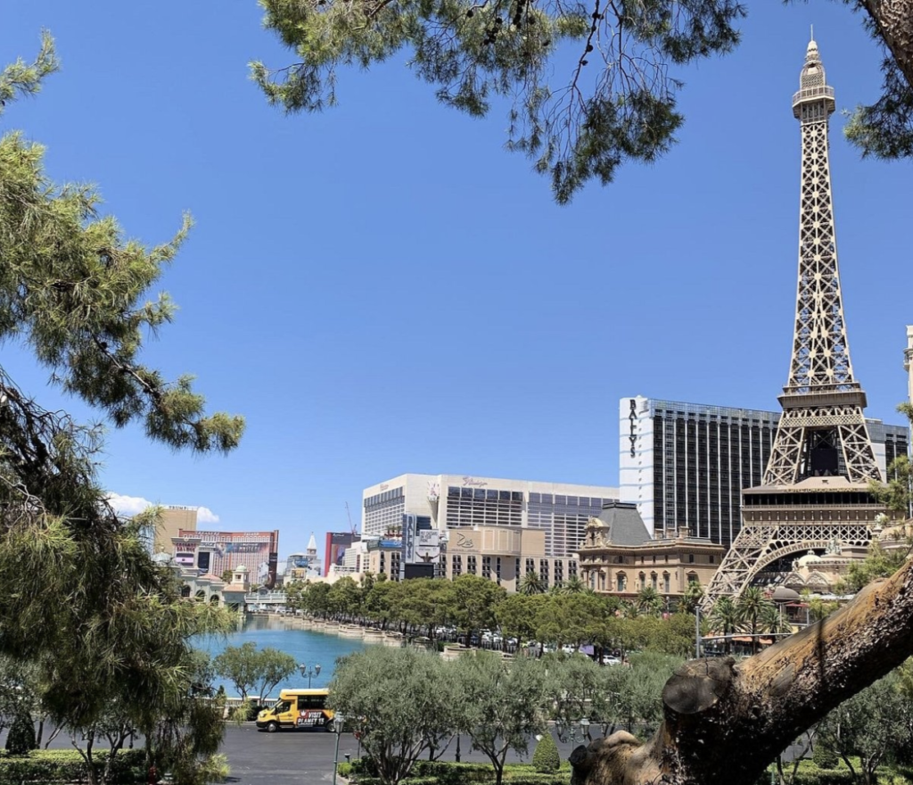 Things to Do in Las Vegas During First Visit, From Frequent Visitor