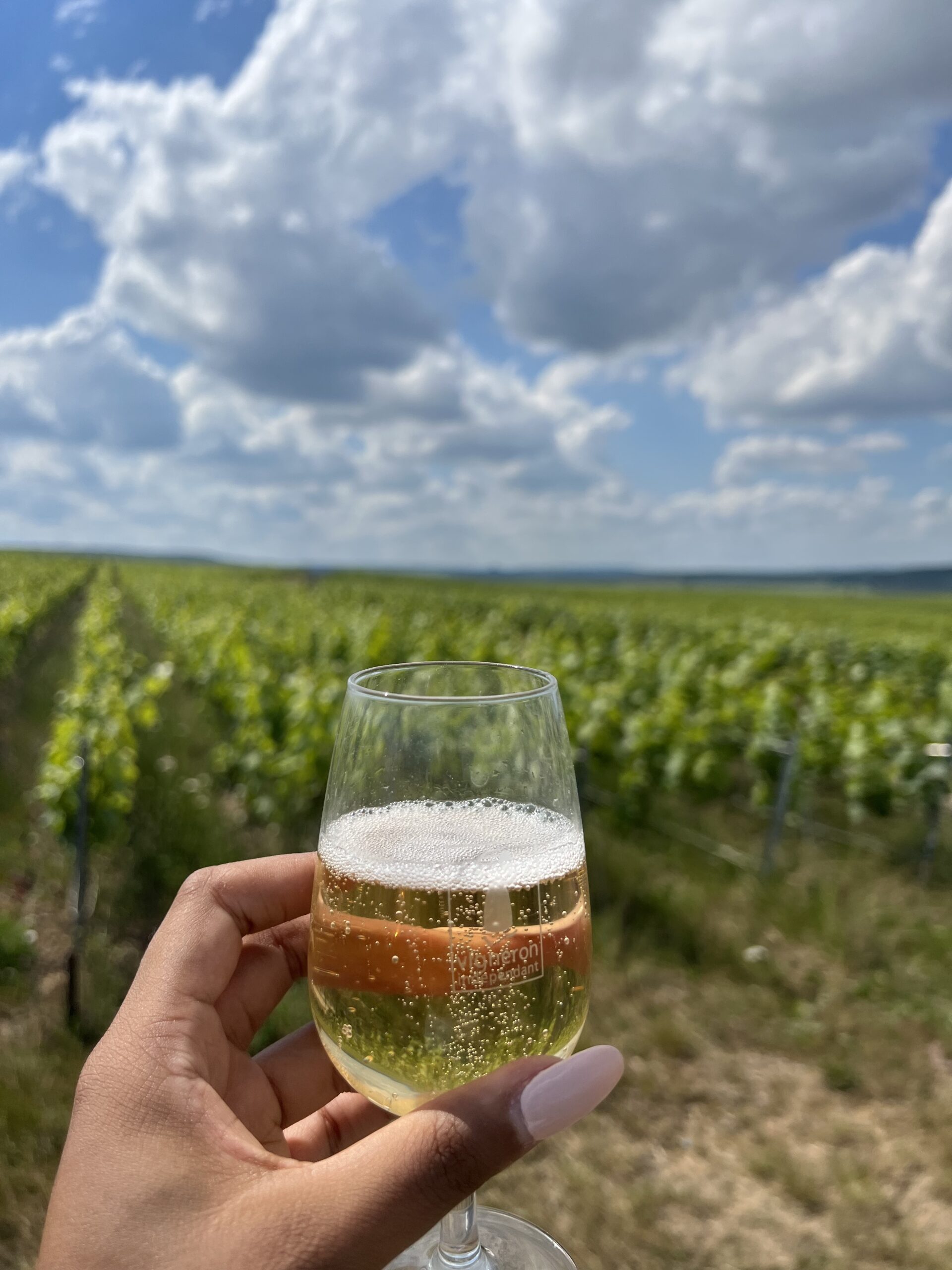 Champagne Day Trips from Paris: Best Tours, Planning & Tips