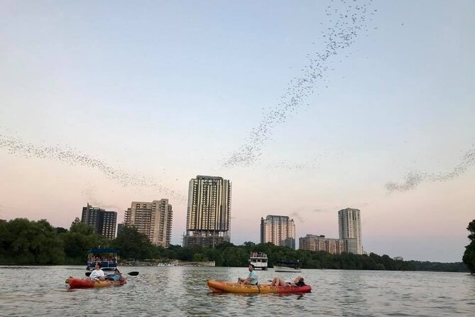 kayak tour Austin with bats