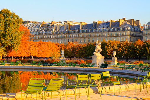 tuileries garden in fall