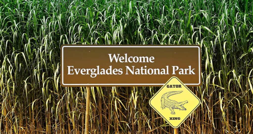 everglades national park florida