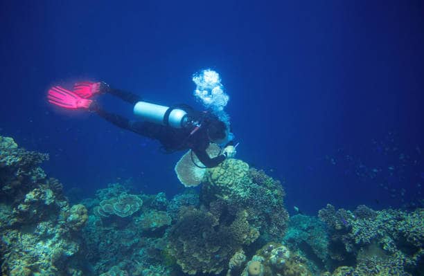 PADI scuba diving course zanzibar