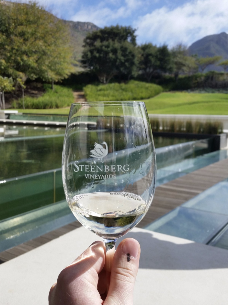 steenburg winery cape town