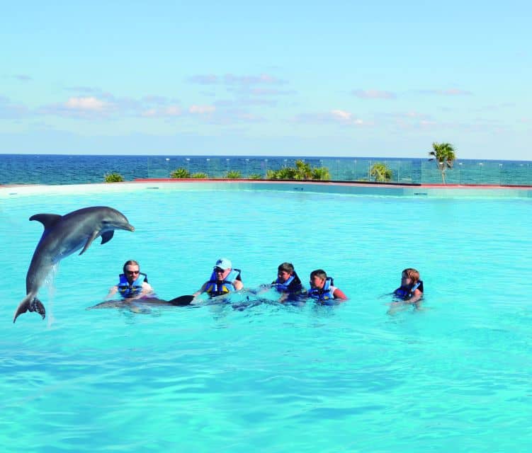akumal dolphin encounter