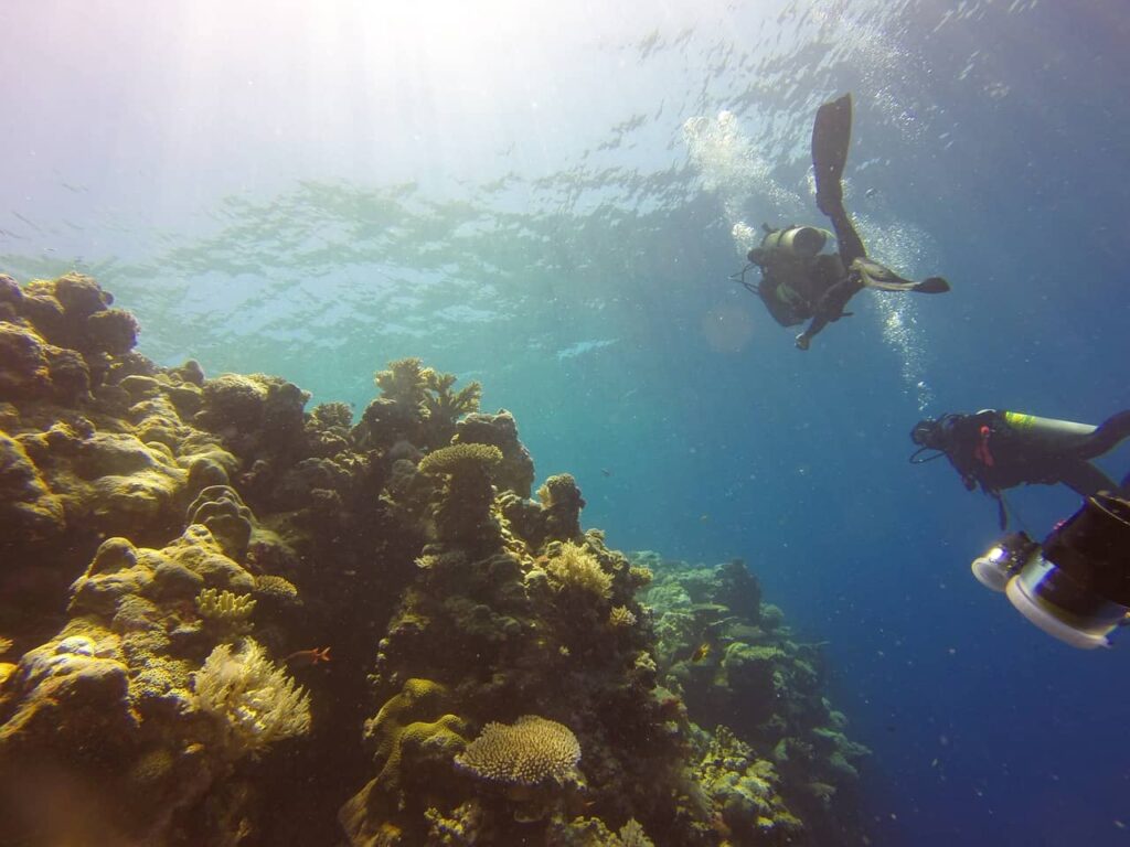 scuba diving tulum