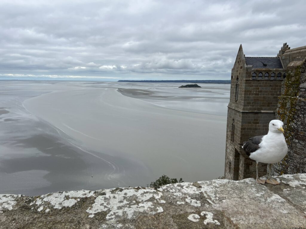 view from mont saint michel