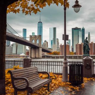 fall in nyc